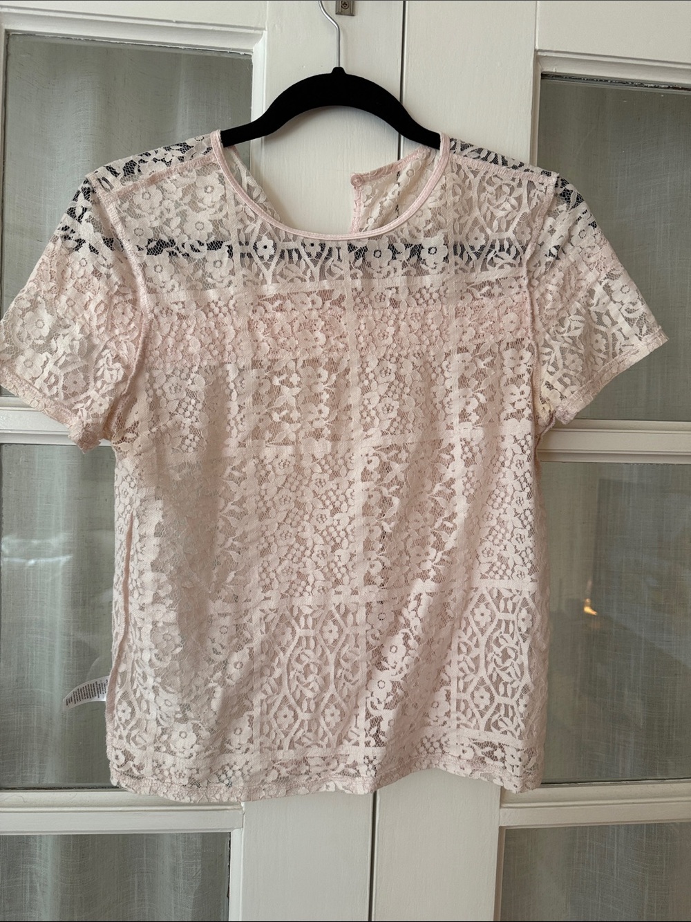 hinge Light Pink Lace Short-Sleeve Floral Top